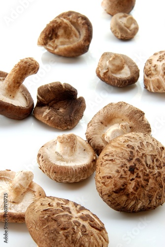 Shiitake mushroom, Authentic Chinese mushroom