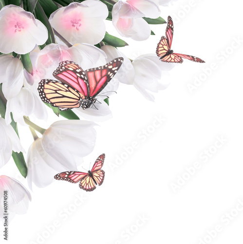 Fototapeta Naklejka Na Ścianę i Meble -  White tulips with green grass and  butterfly. Floral background.