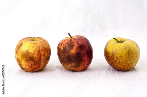 Three not so fresh apples