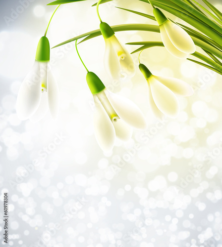 Background with snowdrops