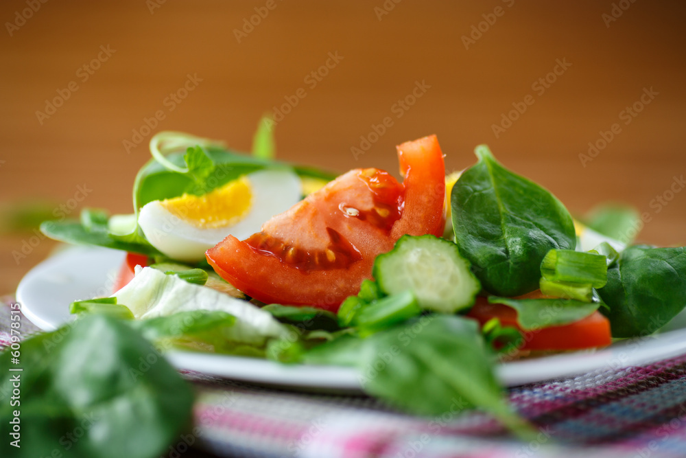 summer salad with egg summer salad with egg