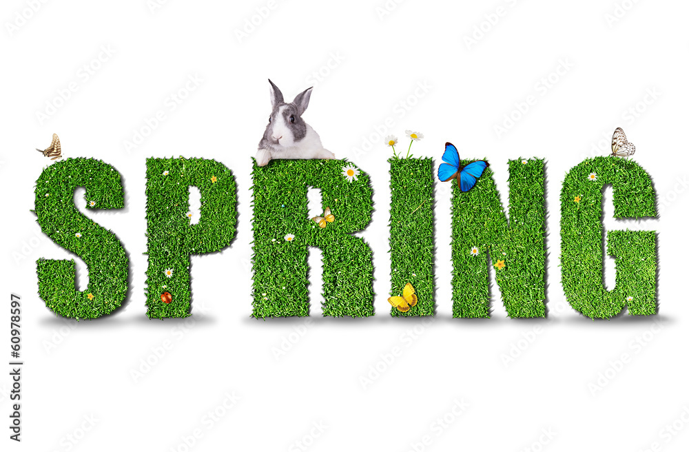 Spring word concept on white background - obrazy, fototapety, plakaty 