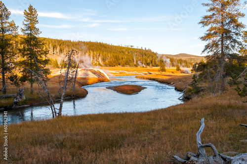Bild auf Leinwand Meadows of the Lewis River valley, Yellowstone NP.