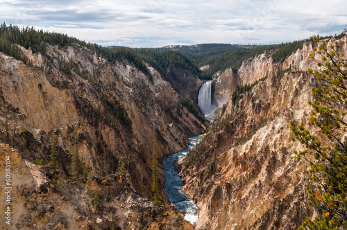 Fototapeta Naklejka Na Ścianę i Meble -  The Lower Falls, Yellowstone.