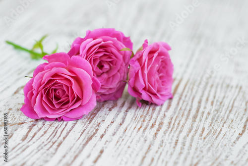 Pink roses