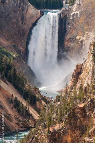 The Lower Falls  Yellowstone.