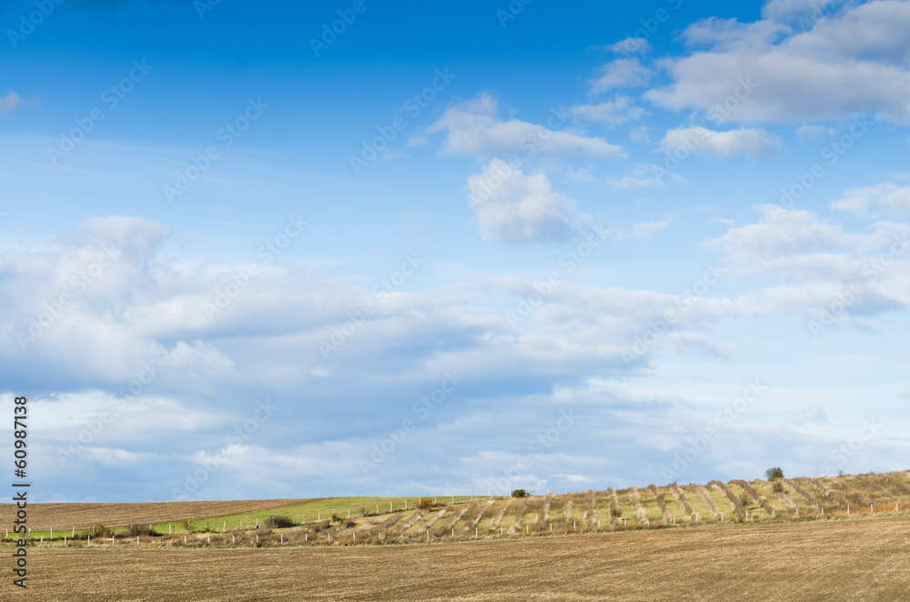 brown field and blue sky.