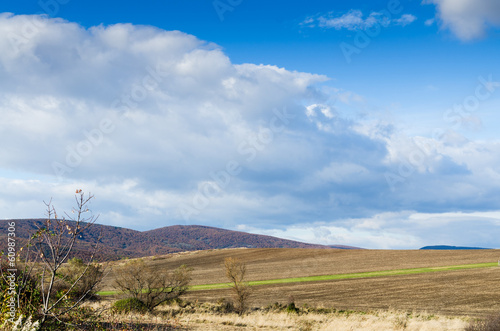 Fototapeta Naklejka Na Ścianę i Meble -  brown field and blue sky.