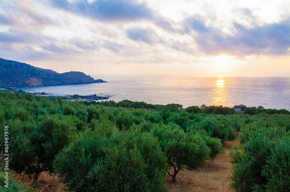 Wide view of a Cretan landscape, island of Crete, Greece