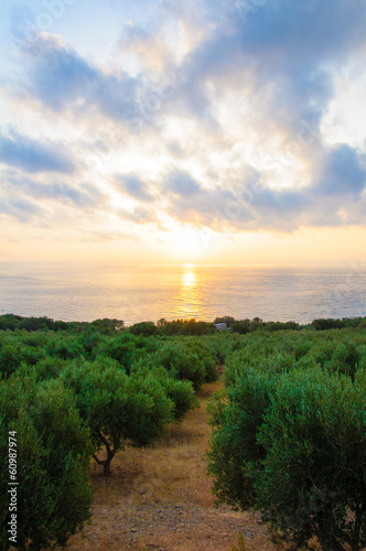 Wide view of a Cretan landscape, island of Crete, Greece