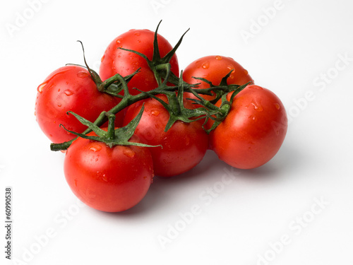 Strauchtomaten