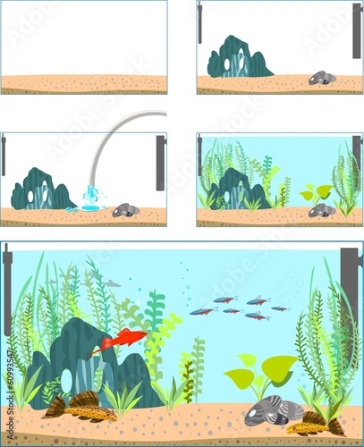 Stages of creating an aquarium