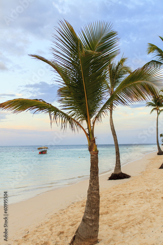 Tropical beach