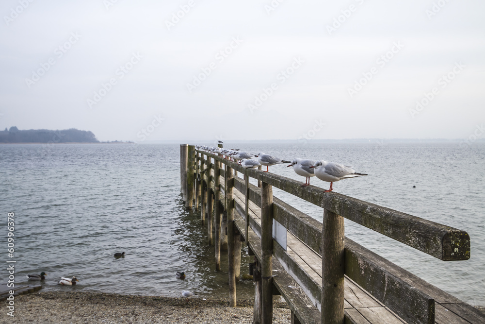 Chiemsee