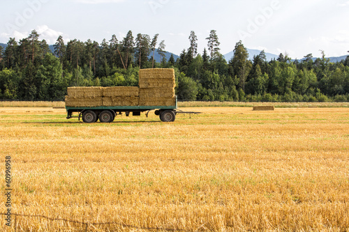 Obraz na plátně Cart with hay on it