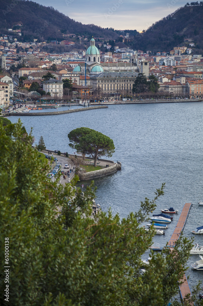 Naklejka premium Como: city panorama from the lake