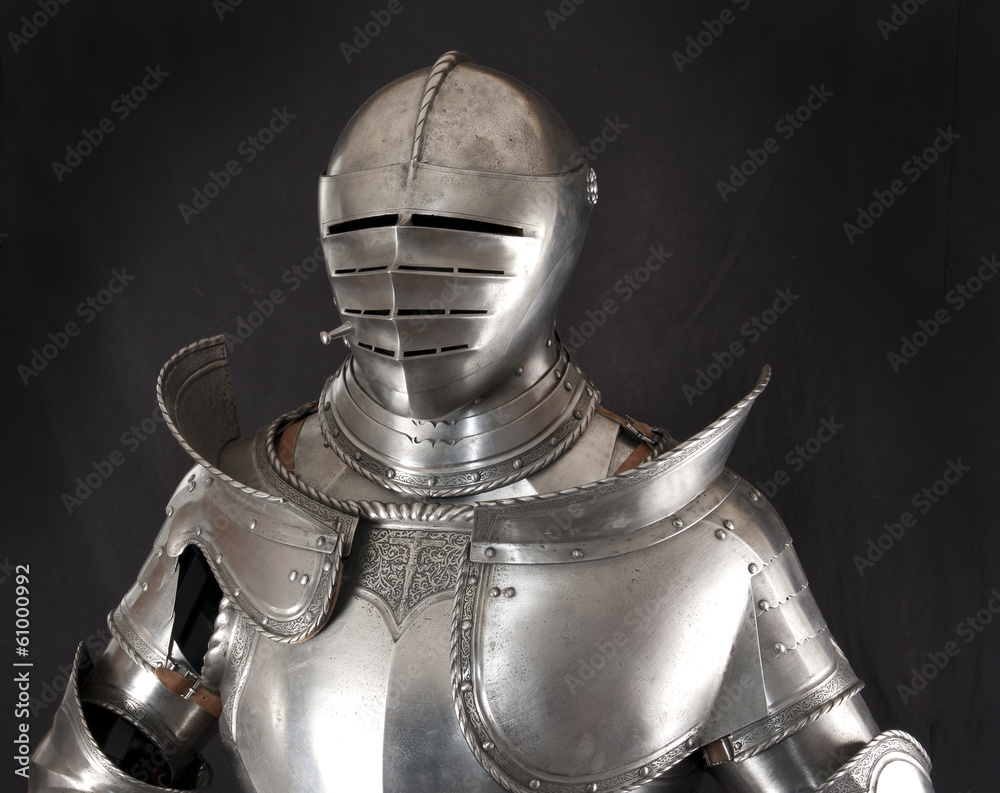 Fototapeta premium Armour