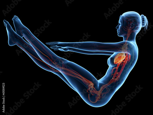 3d rendered illustration - working out