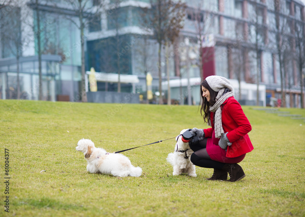 Winter portrait of pregnant woman walking dogs Winter portrait of pregnant woman walking dogs