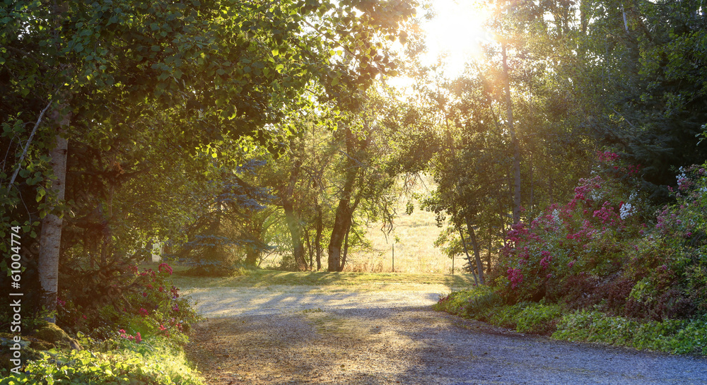 Fototapeta premium Beautiful morning countryside landscape