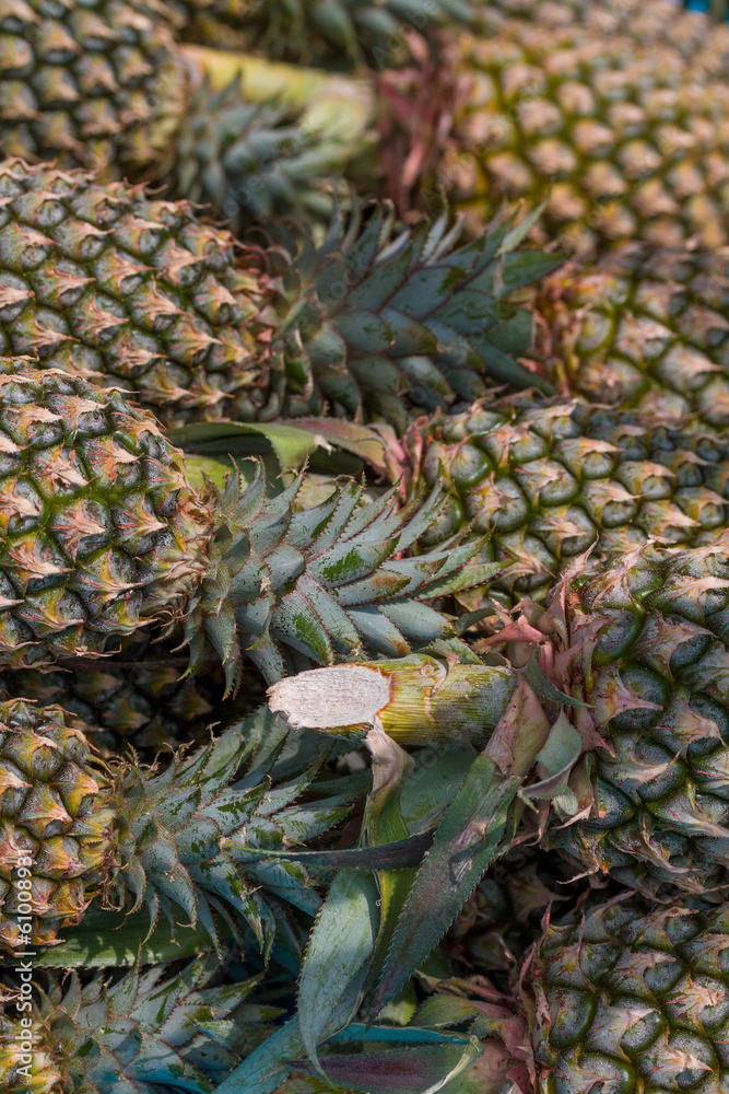 Fototapeta premium pineapple pile ready for sale