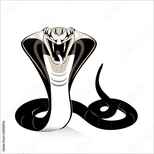 king cobra