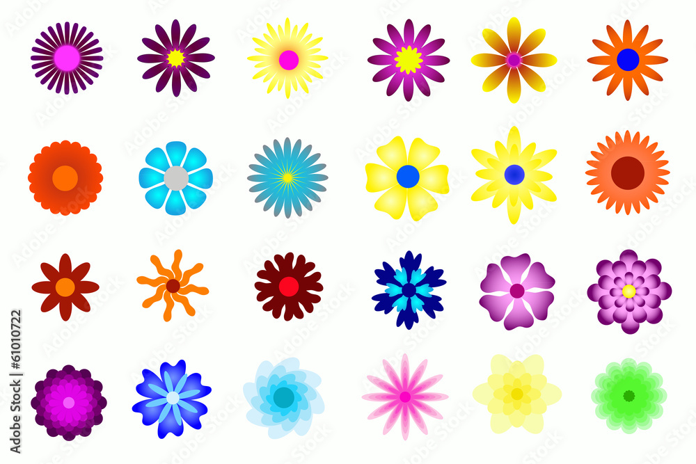 flower colorful flower colorful