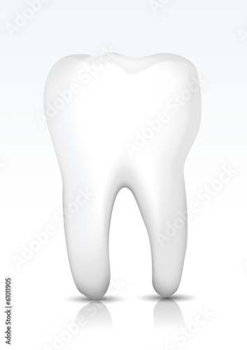 Vector tooth