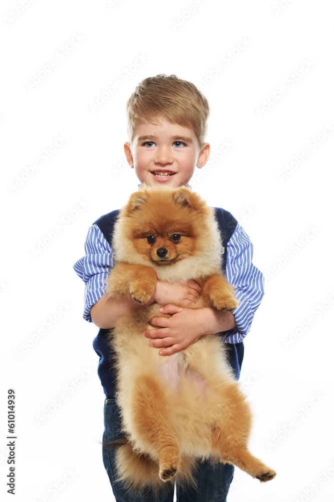 Little happy boy holding spitz Little happy boy holding spitz