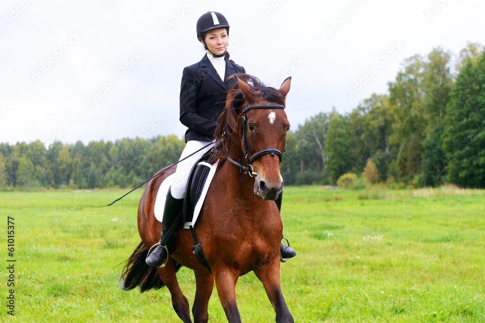 Cheerful young woman ridding horse in a field Cheerful young woman ridding horse in a field