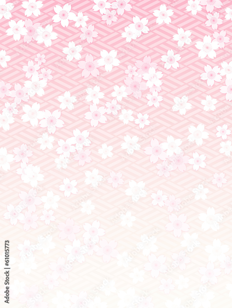 桜背景