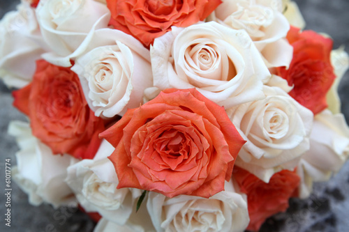 pink and white roses