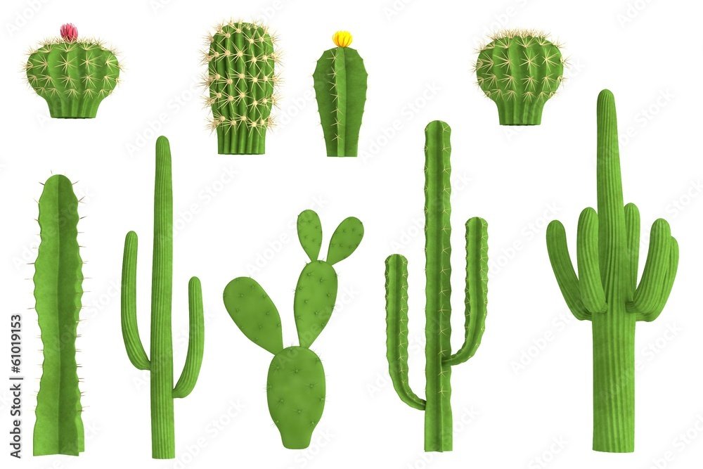 realistic 3d render of cactus set - obrazy, fototapety, plakaty 