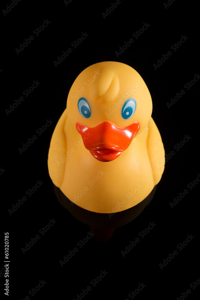 gelbe Badeente - Freisteller schwarz gelbe Badeente - Freisteller schwarz