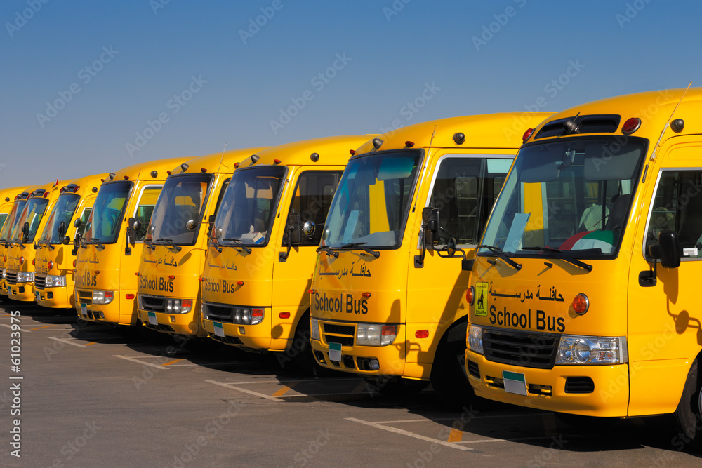 Fototapeta premium An oblique perspective of 8 yellow Arabic school busses