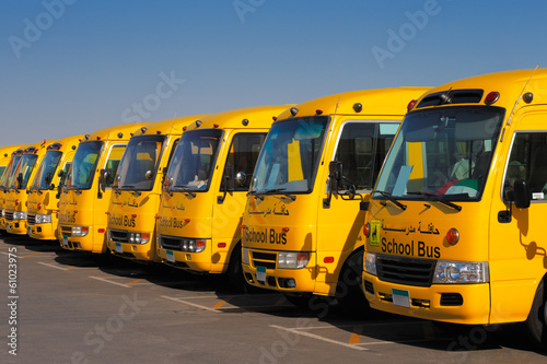 An oblique perspective of 8 yellow Arabic school busses