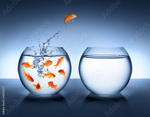 Obraz na plátne goldfish jumping - improvement and career concept