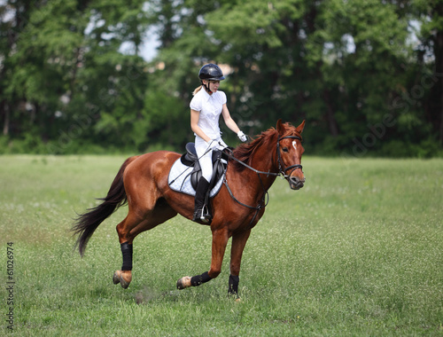 Happy girl rides on horse © horsemen