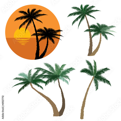 Palm tree isolated collection. Summer holiday set
