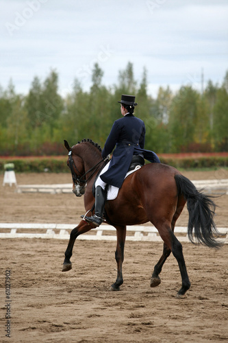 Equestrian jockey in uniform with horse