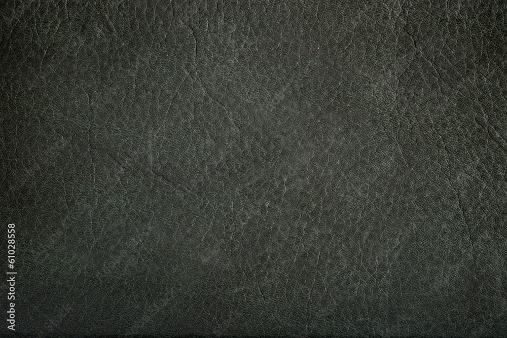 Fototapeta premium Background green skin