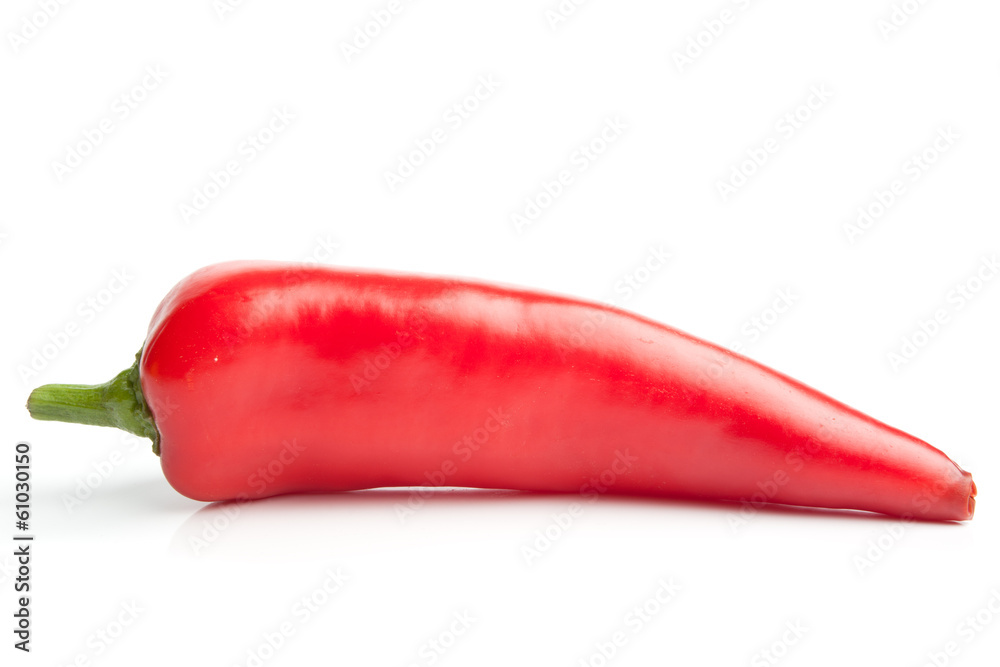 Single red pepper isolated on white Single red pepper isolated on white