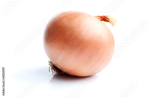 Single onion isolated on white