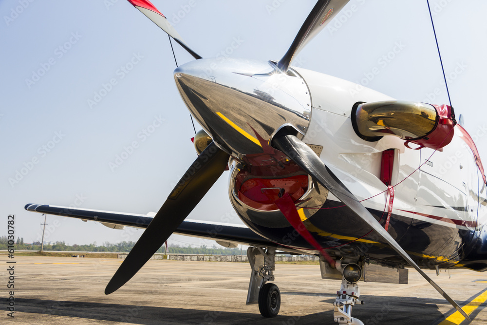 Fototapeta premium vip plane