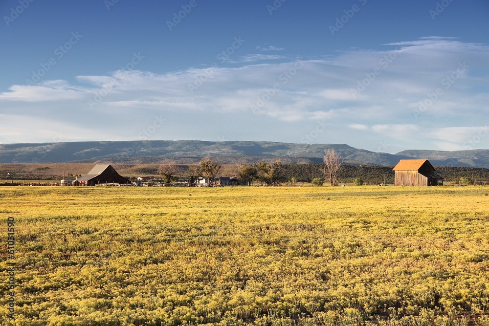 Fototapeta premium Colorado countryside view in San Miguel county