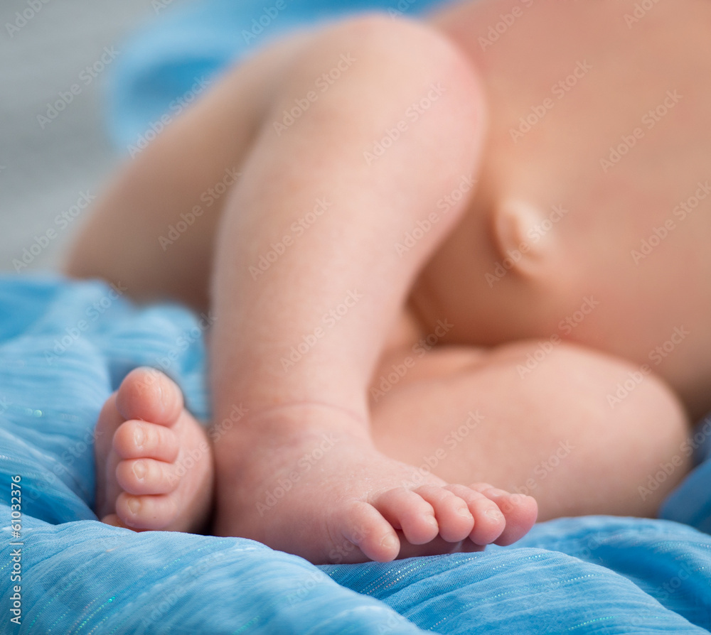 newborn baby's legs newborn baby's legs