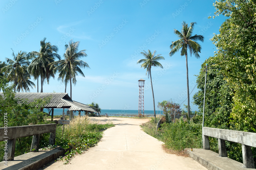 Palm trees and tower