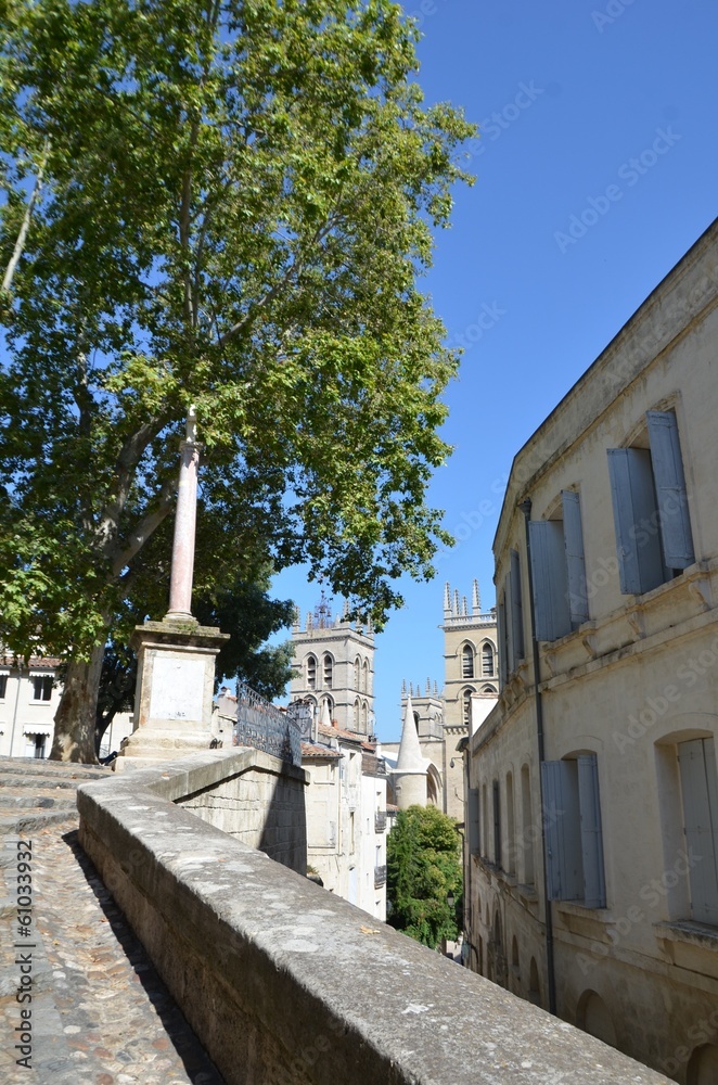 Vue de Montpellier