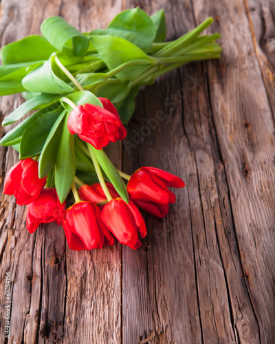 Red tulips on wood background 
