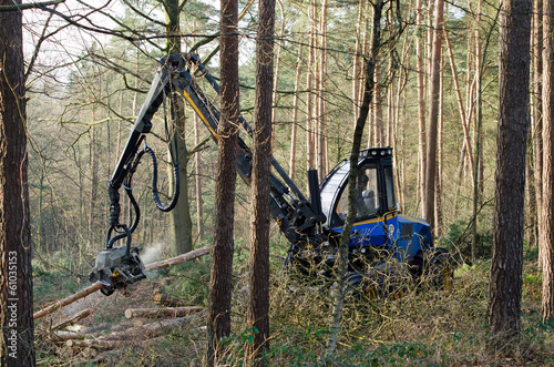 Ein Holzvollernter bei der Arbeit